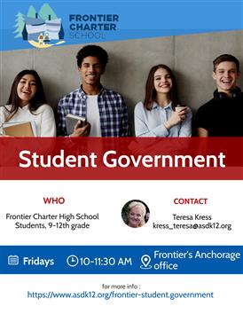  government